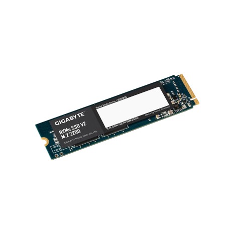 256 ГБ SSD диск Gigabyte G3NVMEV2256G черный