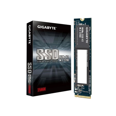 256 ГБ SSD диск Gigabyte G3NVMEV2256G черный