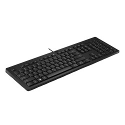 Клавиатура проводная HP 125 (AY2Y7A6) черный