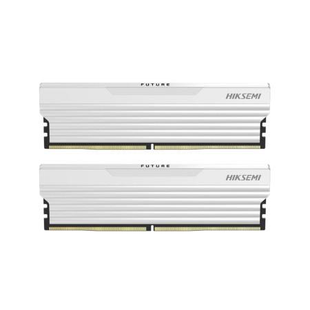 Оперативная память HikSemi Future (HSC432U32F3) 32 ГБ белый