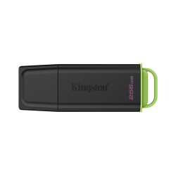 256 ГБ USB Флеш-накопитель Kingston DataTraveler Exodia (DTXG2/256GB) черный