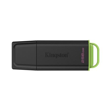 256 ГБ USB Флеш-накопитель Kingston DataTraveler Exodia (DTXG2/256GB) черный