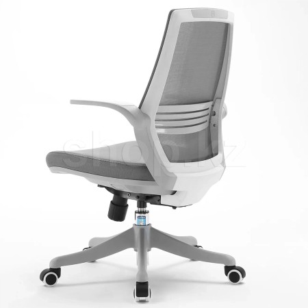 Кресло офисное Sihoo M59B (M59B-B206) белый