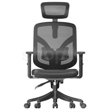 Кресло офисное Sihoo M56 (M56-B121) черный