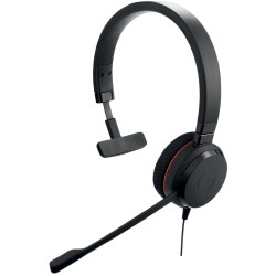 Наушники Jabra Evolve 20 MS Mono USB-C/A (4993-823-169) черный