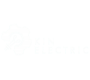 Kinelectric