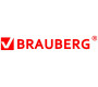 BRAUBERG